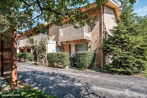 1216 Pine St #B, Glenview, IL 60025 photo 1