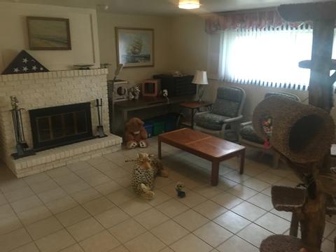 780 Audrey Ave, Aurora, IL 60505 photo 28