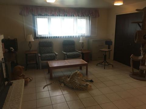 780 Audrey Ave, Aurora, IL 60505 photo 29
