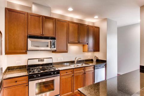 1033 E 46th St #203, Chicago, IL 60653 photo 6