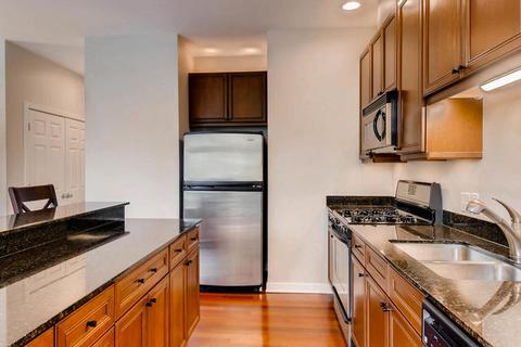 1033 E 46th St #203, Chicago, IL 60653 photo 7