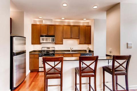 1033 E 46th St #203, Chicago, IL 60653 photo 5