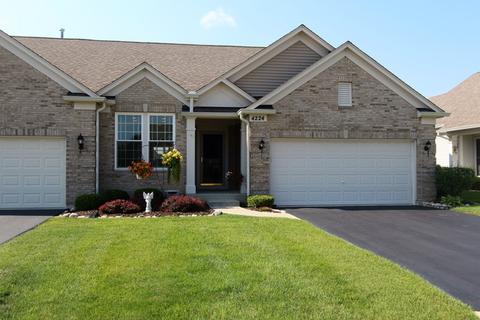4224 Whitehall Ln, Algonquin, IL 60102 photo 1