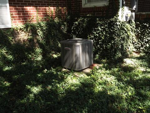 109 S Walnut St, Onarga, IL 60955 photo 47