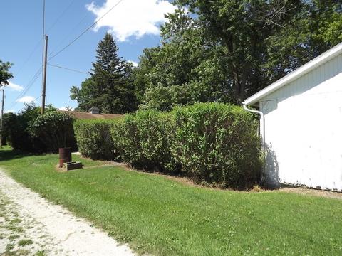 109 S Walnut St, Onarga, IL 60955 photo 42