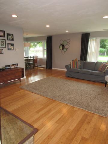 972 Meadow Ln, Elgin, IL 60123 photo 7
