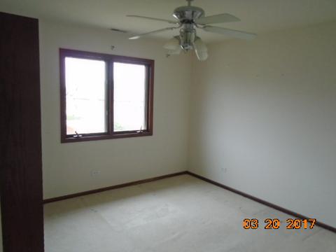 305 Maple St, Beecher, IL 60401 photo 11