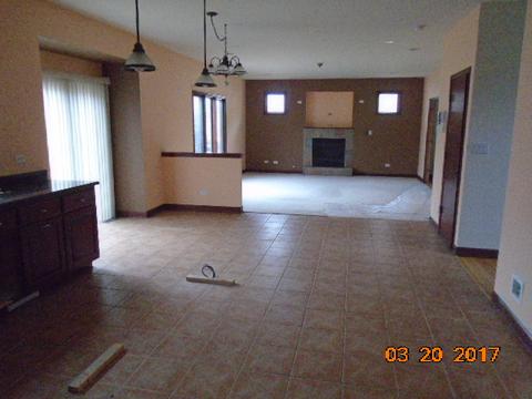 305 Maple St, Beecher, IL 60401 photo 4