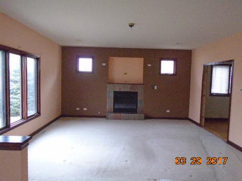 305 Maple St, Beecher, IL 60401 photo 6