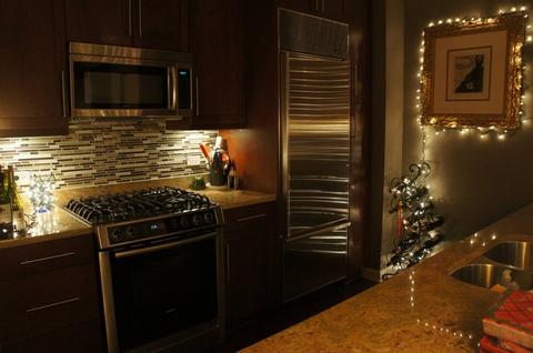 60 E Monroe St #2805, Chicago, IL 60603 photo 7