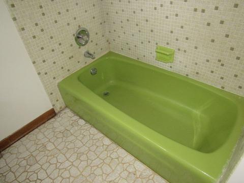 175 S Maple Ave, Hillside, IL 60162 photo 15