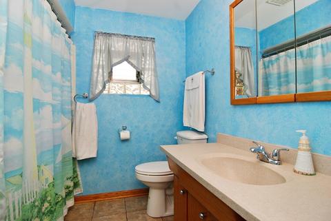 3446 Park Ave, Brookfield, IL 60513 photo 12