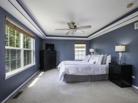 2967 Red Barn Ct, Aurora, IL 60503 photo 9