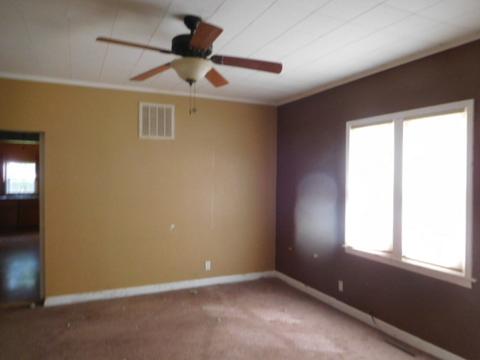 148 W Wing St, Bement, IL 61813 photo 5