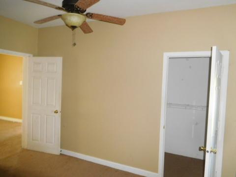 148 W Wing St, Bement, IL 61813 photo 10