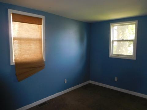 148 W Wing St, Bement, IL 61813 photo 16