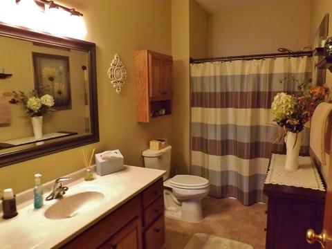 1806 Eagle Dr, Morris, IL 60450 photo 16