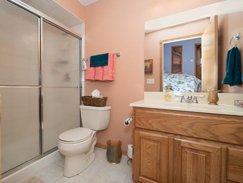 21121 W Braxton Ln, Plainfield, IL 60544 photo 18