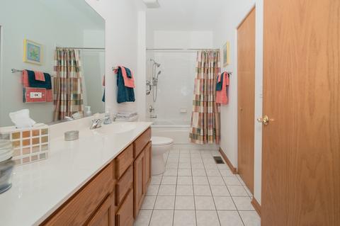 21121 W Braxton Ln, Plainfield, IL 60544 photo 10