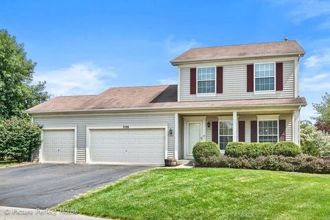 7128 Waterman Ct, Plainfield, IL 60586 photo 1