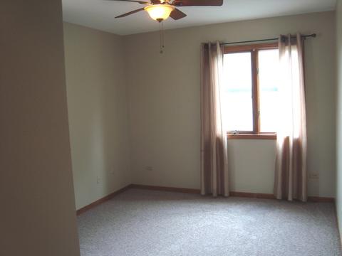 23440 W Link Ln, Plainfield, IL 60586 photo 13