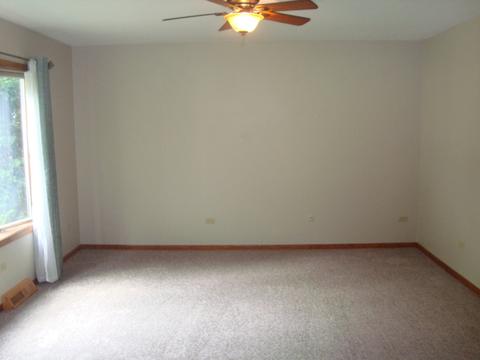 23440 W Link Ln, Plainfield, IL 60586 photo 19