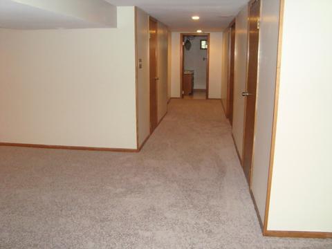 23440 W Link Ln, Plainfield, IL 60586 photo 24