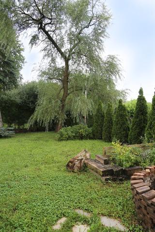 9246 Clancy Dr, Des Plaines, IL 60016 photo 21