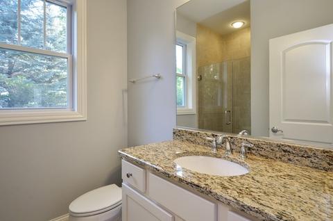 921 Rolling Pass, Glenview, IL 60025 photo 8