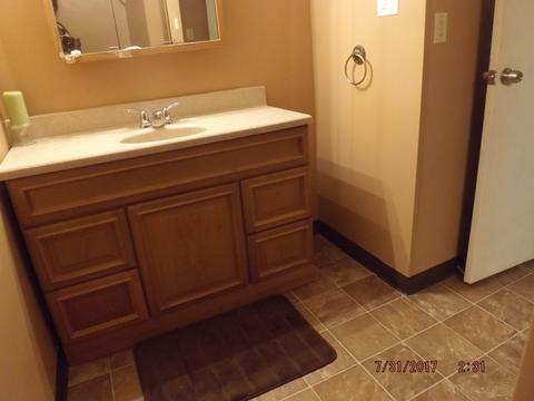 3315 Phillips Ave, Steger, IL 60475 photo 21