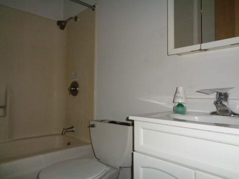 107 E Jones St, Plano, IL 60545 photo 11