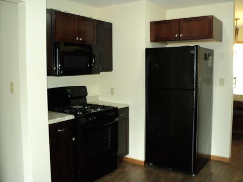 108 E Gardner St, Elwood, IL 60421 photo 8