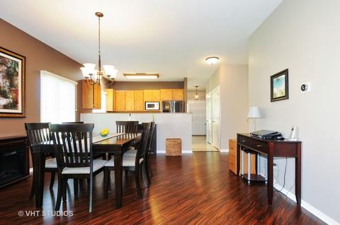 23159 Kristoff Ct, Plainfield, IL 60544 photo 5