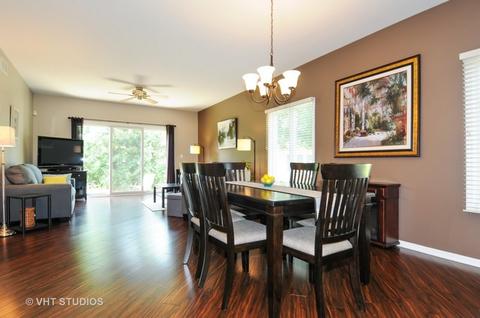 23159 Kristoff Ct, Plainfield, IL 60544 photo 8
