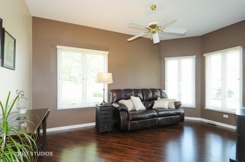 23159 Kristoff Ct, Plainfield, IL 60544 photo 9