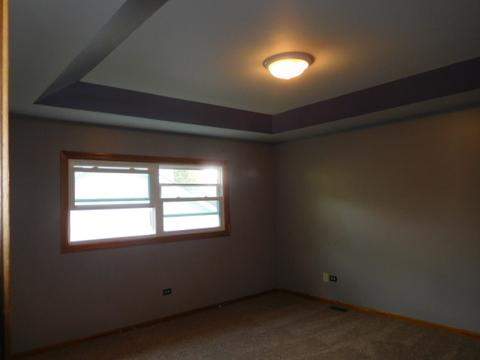 16503 Spangler Rd, Plainfield, IL 60586 photo 11