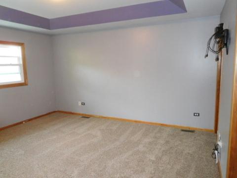 16503 Spangler Rd, Plainfield, IL 60586 photo 10