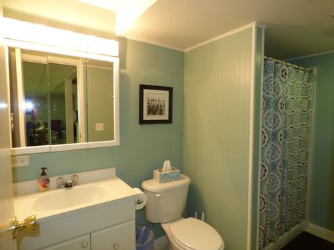 4411 Ashley Dr, Mchenry, IL 60050 photo 16