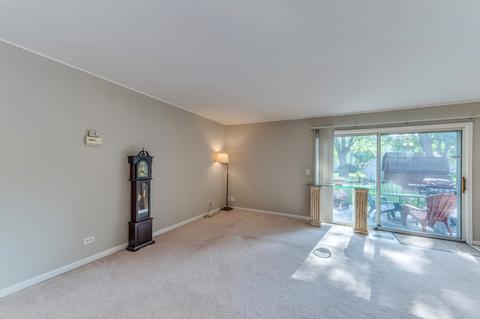 162 Thackeray Dr, Bolingbrook, IL 60440 photo 14
