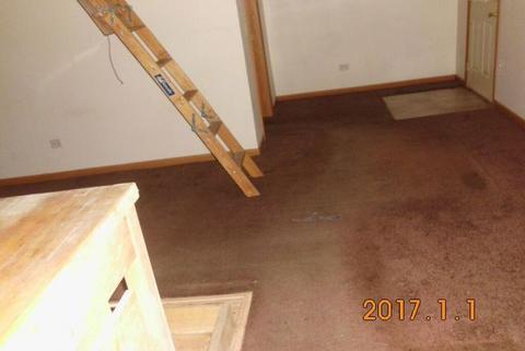 121 E Crawford St, Peotone, IL 60468 photo 7