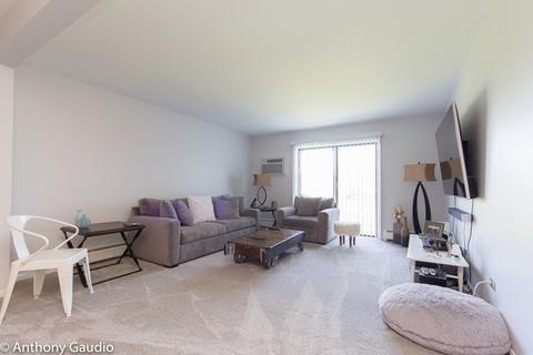 228 E Bailey Rd #M, Naperville, IL 60565 photo 3