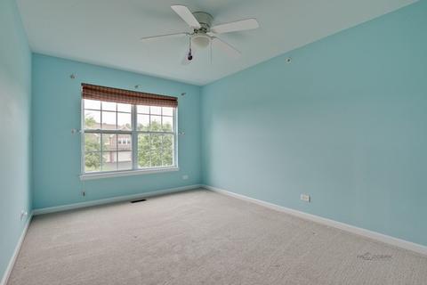 5759 River Birch Dr, Hoffman Estates, IL 60192 photo 24