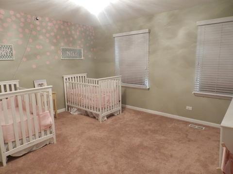 1485 Spring Hill Dr, Algonquin, IL 60102 photo 16