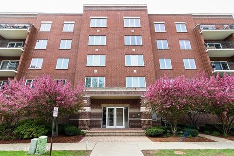 1675 Mill St #306, Des Plaines, IL 60016 photo 1