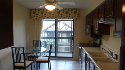 242 Stanhope Dr #C, Willowbrook, IL 60527 photo 5