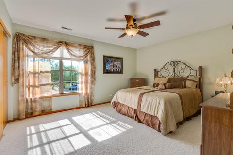 11 Walbridge Ct, Algonquin, IL 60102 photo 20