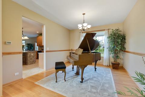 11 Walbridge Ct, Algonquin, IL 60102 photo 12