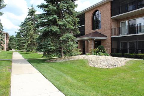4945 E Circle Dr #309, Crestwood, IL 60445 photo 3
