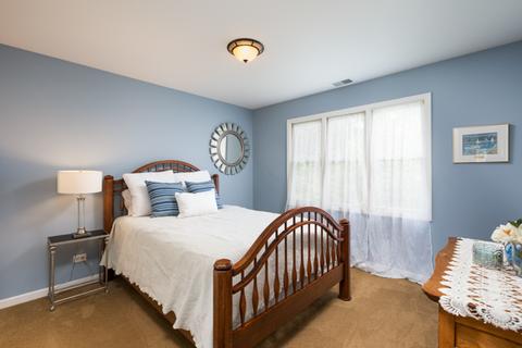 13213 Lakepoint Dr, Plainfield, IL 60585 photo 28