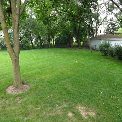 9533 Forest Pl, Des Plaines, IL 60016 photo 6